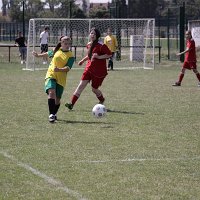 IMG 0447